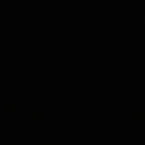 Meet your Posher, Rylee